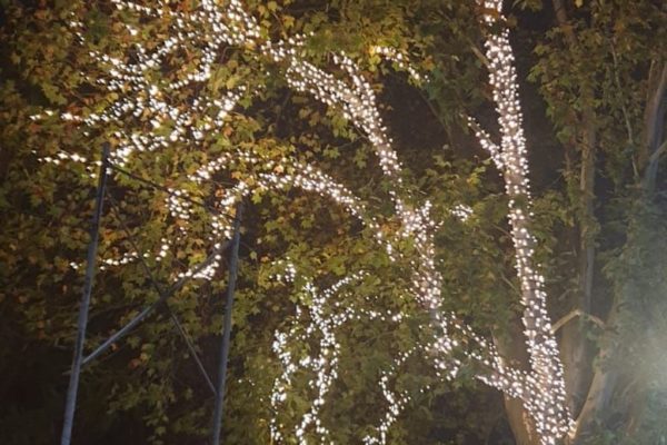 Weihnachtsbeleuchtung_22